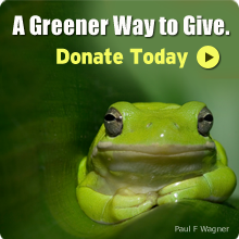Donate Today!